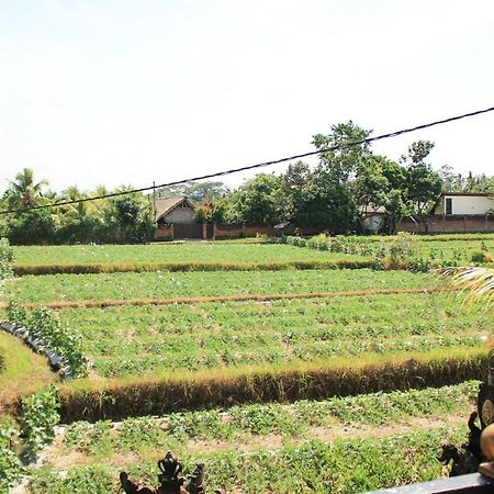 Ancut Sari Hotel Ubud  Luaran gambar