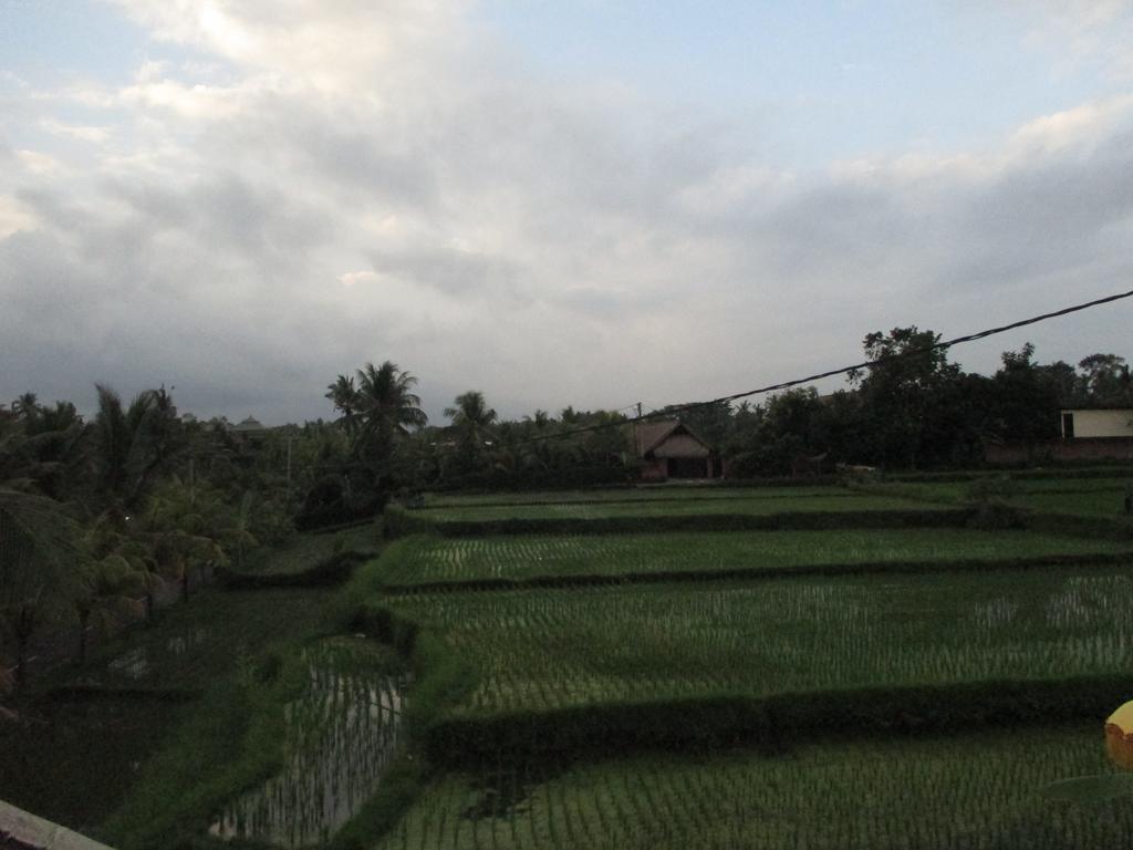 Ancut Sari Hotel Ubud  Luaran gambar