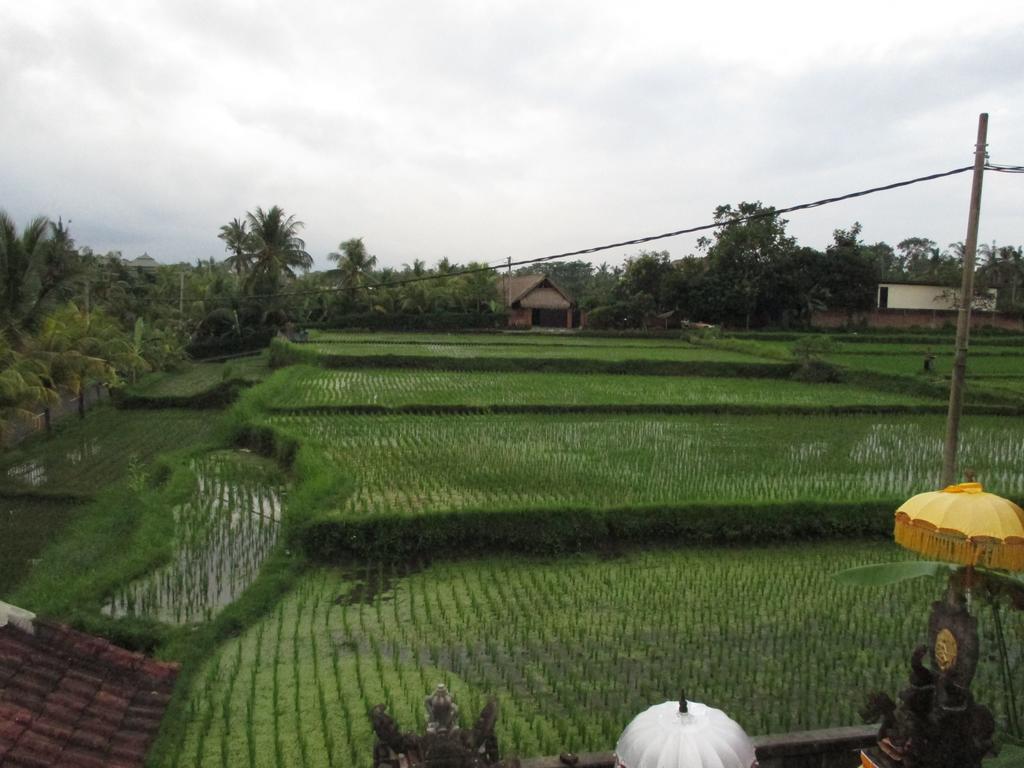 Ancut Sari Hotel Ubud  Luaran gambar