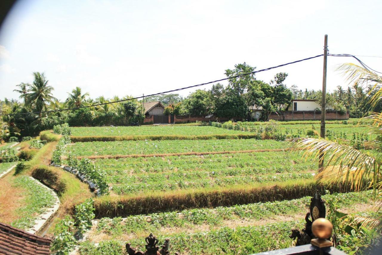 Ancut Sari Hotel Ubud  Luaran gambar